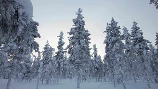 无人机缓慢探索芬兰拉普兰北极圈下雪的冬季视频素材模板下载