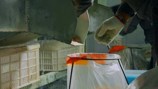糖厂生产筛选包装设备冰糖手工装袋