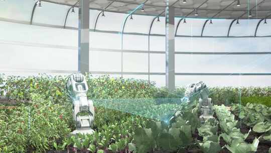 科技农业现代化温室大棚