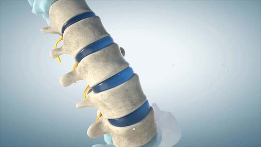 人类的脊椎3D动态模型视频素材模板下载