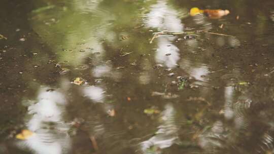 雨水轻轻落在水坑上，形成涟漪