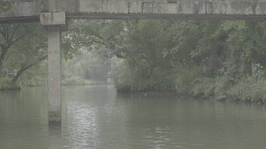 杭州西溪湿地水上芦苇荡游船风光