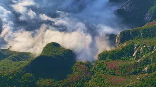 三峡红叶