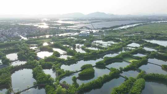 湖州南浔荻港桑基鱼塘