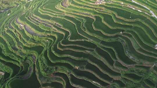 贵州侗寨风景