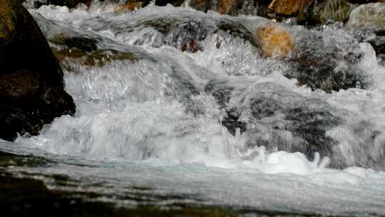 溪流流水水流水花清澈视频素材模板下载