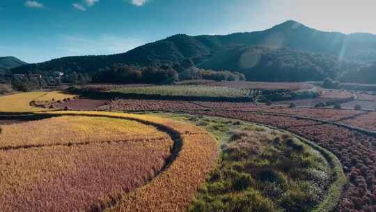 云南乡村山区农田