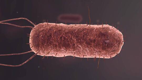 医学病原体病毒病原体病菌细菌医学三维动画