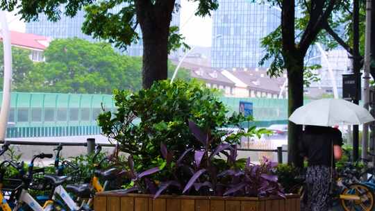 下暴雨下大雨下雨天雨水雨滴街景街道街头风