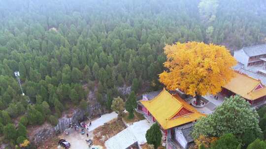 山东济南淌豆寺秋天航拍寺庙