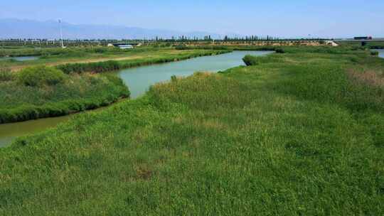 芦苇荡湿地湖泊生态环境航拍