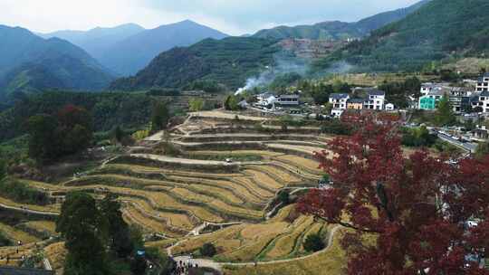 航拍山区乡村梯田