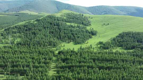 【航拍】坝上草原森林风光空镜 绿水青山