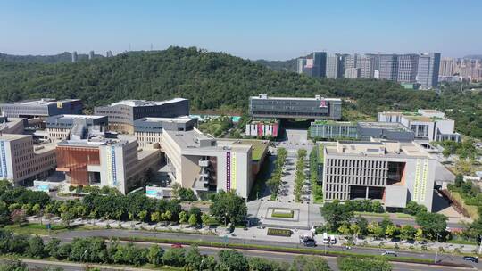 深圳龙岗香港中文大学合集