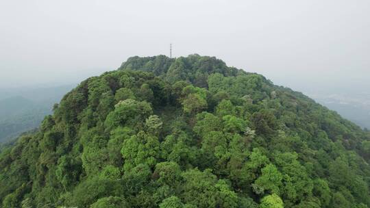 雅安蒙顶山自然风光