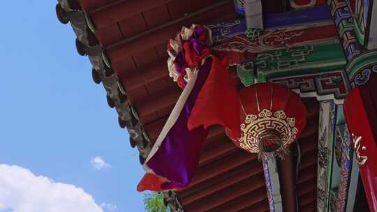 真庆观古建筑群都雷府盐隆祠真武祠4349