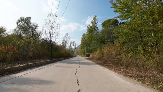 秋天城市道路开车第一视角  记录仪视角