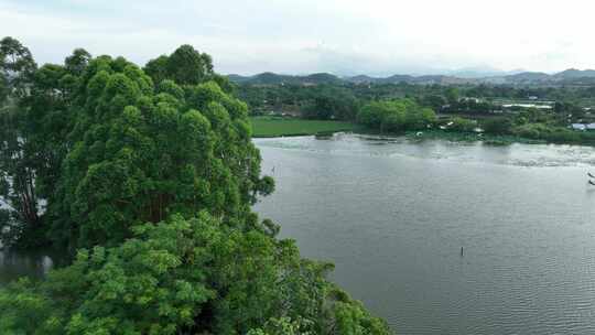 中国江门市鹤山市华侨城古劳水乡旅游区