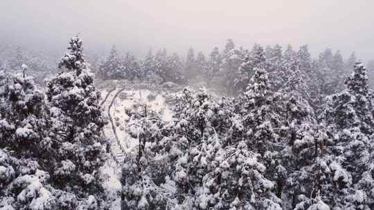 大雪覆山涧小道雾霭景象