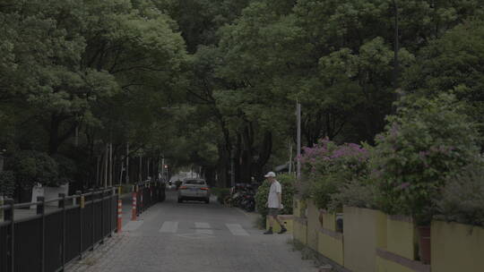 上海黄金城道街景