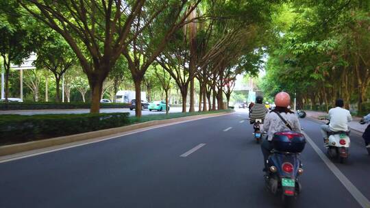 马路上骑电单车 骑行第一人称视角 街景