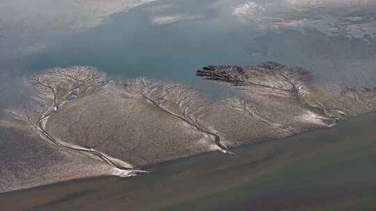 钱塘江大潮潮汐树大地之树震撼唯美日落