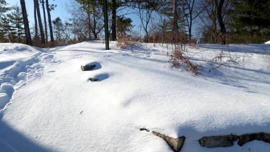 白雪覆盖的森林地面的水平平底锅，露出一条