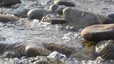 水 河流 小溪 风景 水流 河道 河 风光高清在线视频素材下载