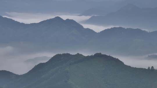 广西柳州万亩茶园清晨雾天航拍