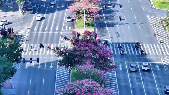 广州城市地标建筑蓝天通透