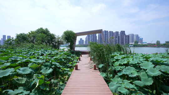 武汉江夏区汤逊湖壹号湿地公园