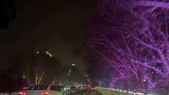 行车高架桥道路树木城市夜景亮化