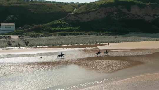 4k航拍三亚海边沙滩骑马画面
