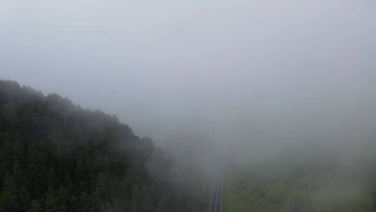 云雾缭绕的山林景观
