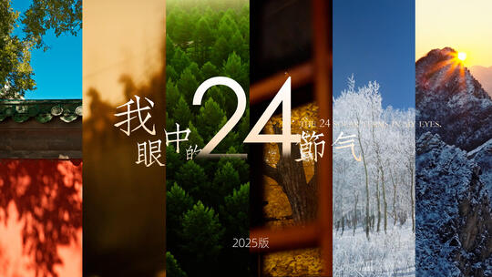 【2025版】中国传统二十四节气实拍