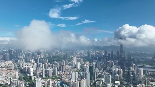 深圳 深圳城市 城市建筑群 高楼大厦 房地产