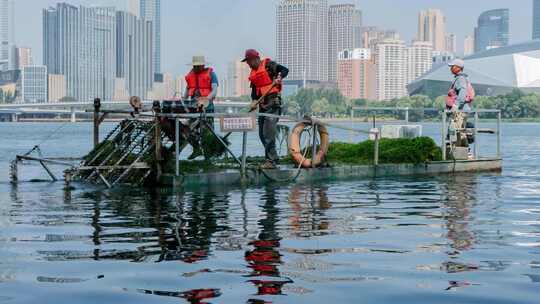 沈阳浑河保洁水草清理盛京大剧院青年大街桥