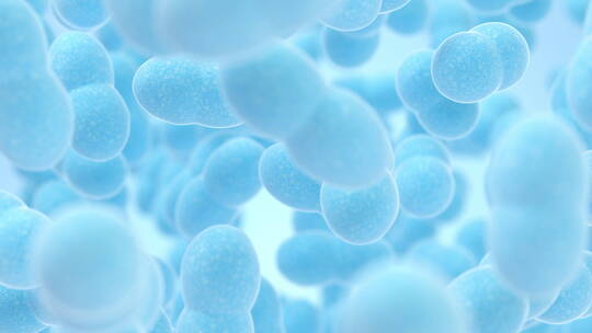 蓝色背景下的细菌 3D渲染