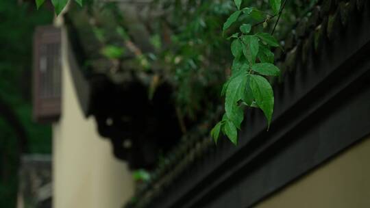 131 杭州 寺庙 古建筑 下雨天 屋檐 窗户