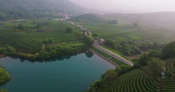 杭州龙坞西湖龙井茶园云雾风光