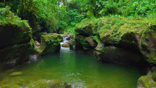 大自然泉水、山泉、小溪、溪流