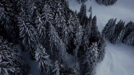 空中俯瞰被雪覆盖的森林树林雾凇