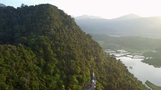 鸟瞰绿色夏季森林和周围的住宅区