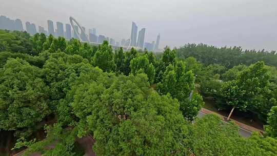 穿越机航拍江心洲绿化园林树林南京