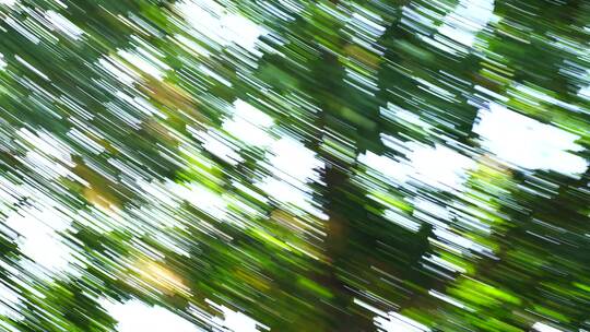 树叶光影模糊运动森林转场绿色树木快速移动