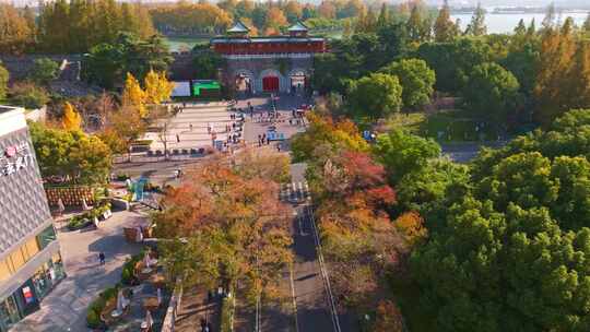 南京玄武湖玄武门乌桕秋景道路