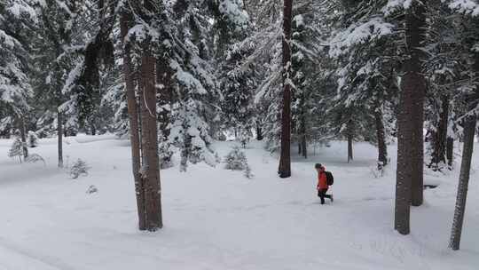 航拍男人走在新疆喀纳斯大雪覆盖的森林中