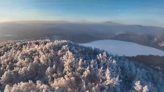 阿尔山森林雾凇 林海雪原雾凇