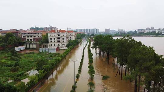 实拍洪涝灾害涨水淹没城市道路