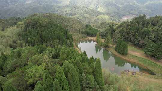 信宜钱排鹿湖顶航拍，高山湖泊，森林大山